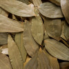CINNAMON SRI LANKA - TRUE CINNAMON leaves
