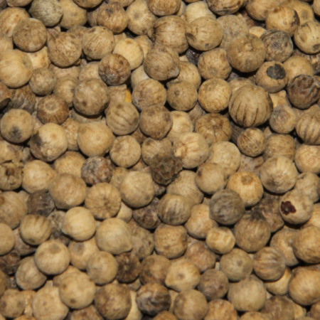 WHITE PEPPER from MALABAR