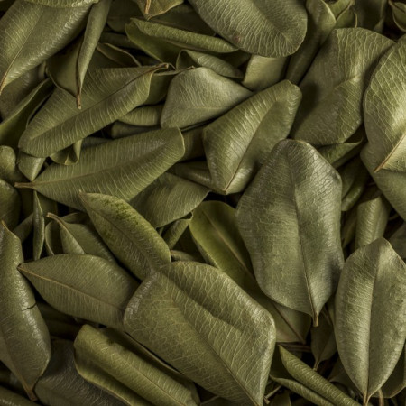 ALLSPICE LEAVES - WEST...